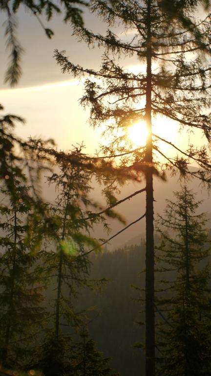 Naturhotel Ortners Eschenhof バド クラインキルヒハイム エクステリア 写真